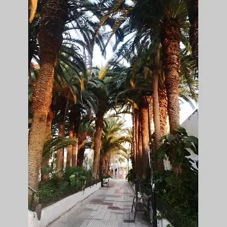 Apartament Z Magicznym Widokiem Na Ocean I Teide * Puerto de la Cruz (Tenerife)